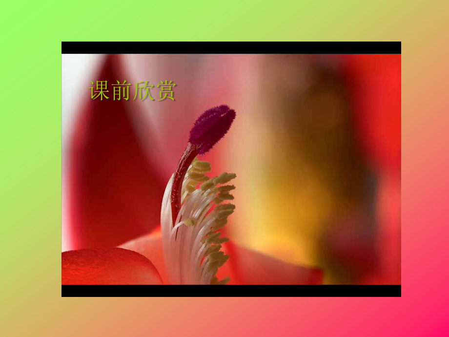 花儿为什麽这样红.ppt_第1页