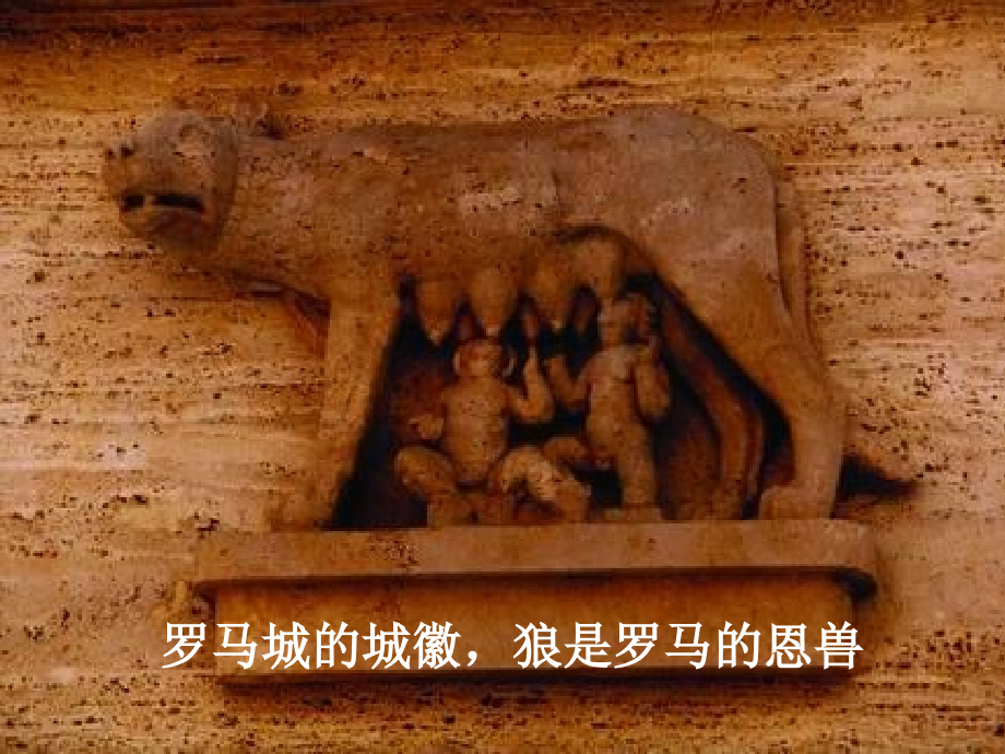 狼的故事.ppt_第2页