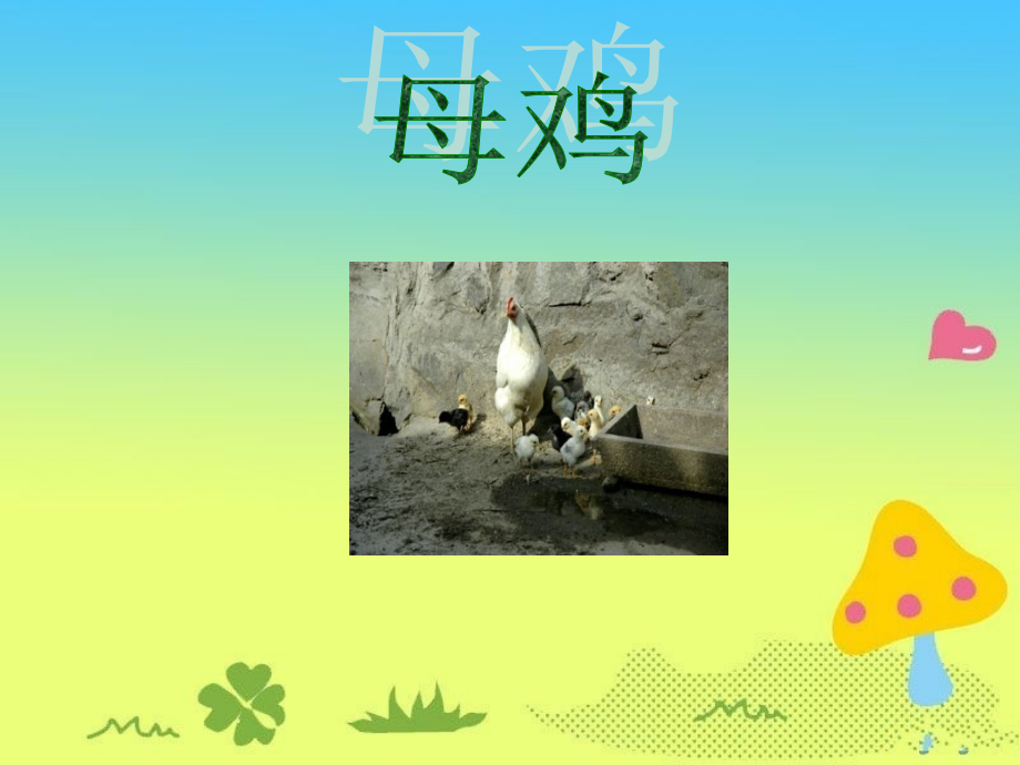 《母鸡》参考课件.ppt_第1页