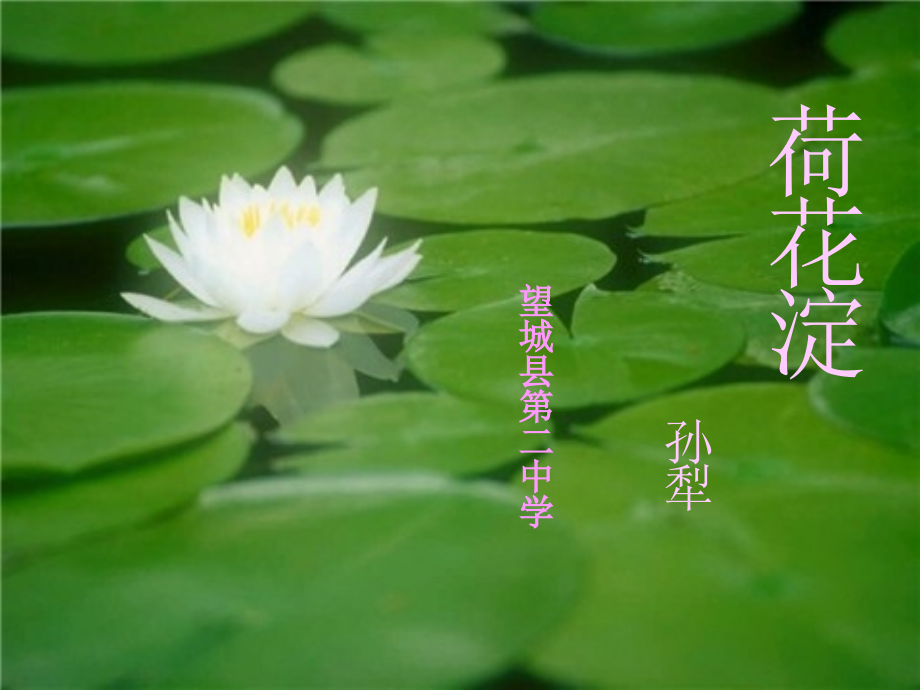 高一语文荷花淀课件 新课标 人教版 课件.ppt_第1页