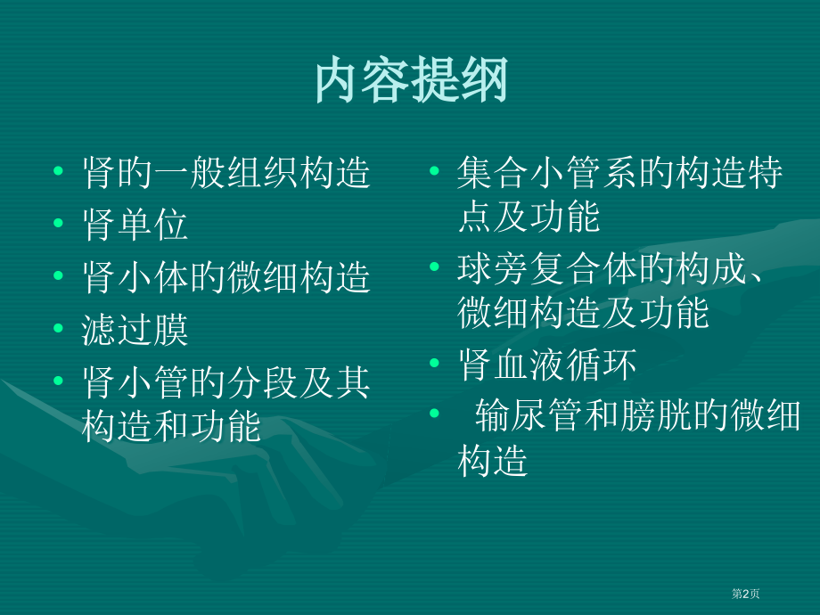 泌尿系统组织学.pptx_第2页