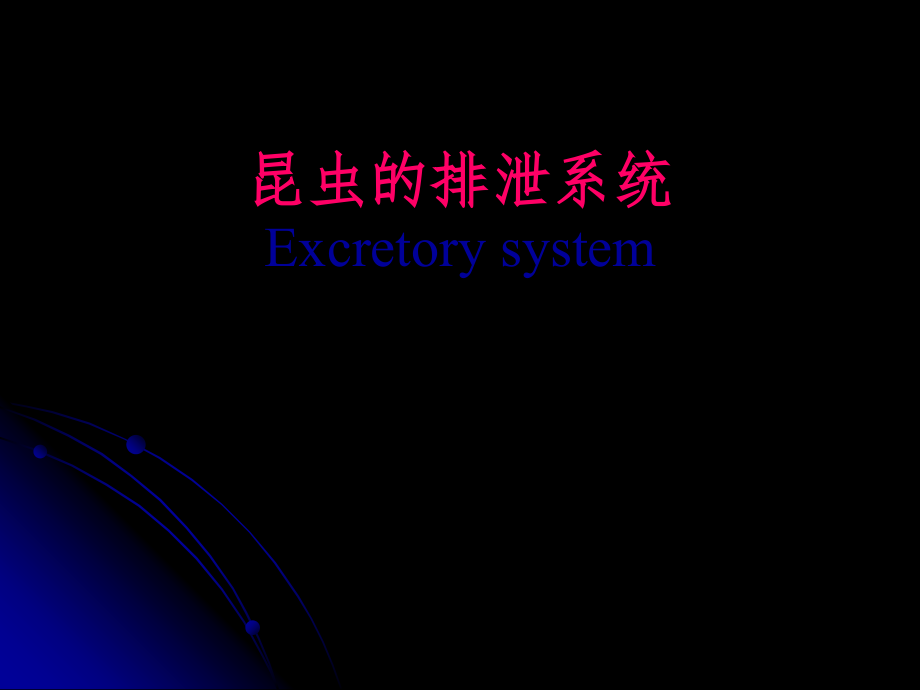 第三组+昆虫的排泄系统.ppt_第1页