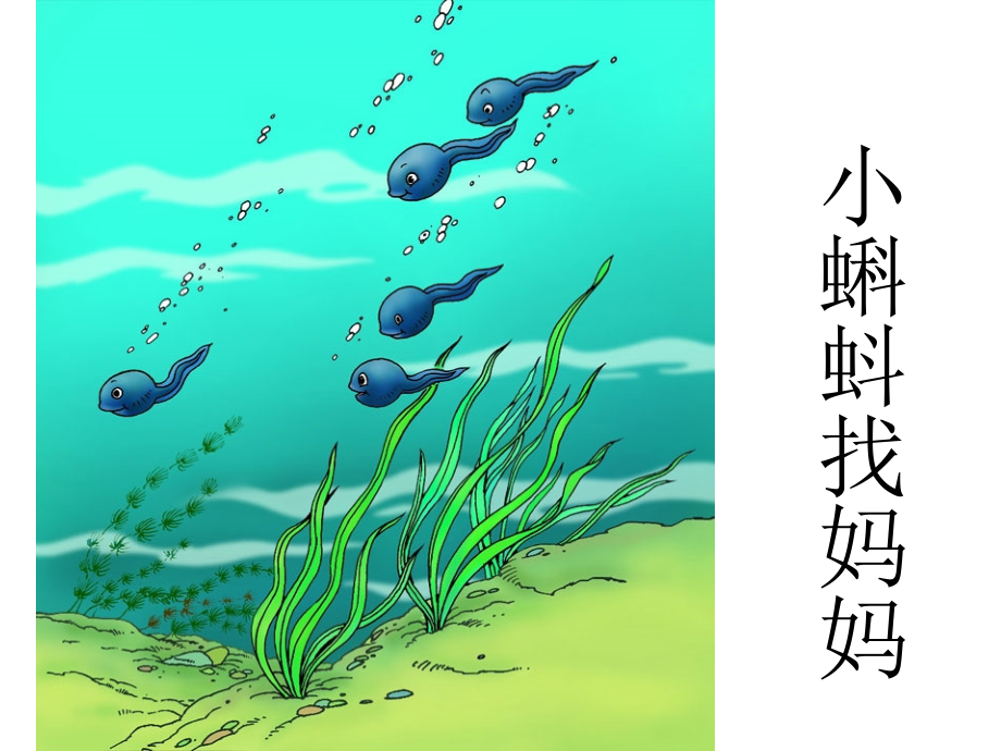 小蝌蚪找妈妈1.ppt_第1页