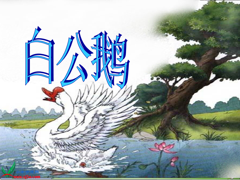 白公鹅(完整课件).ppt_第2页