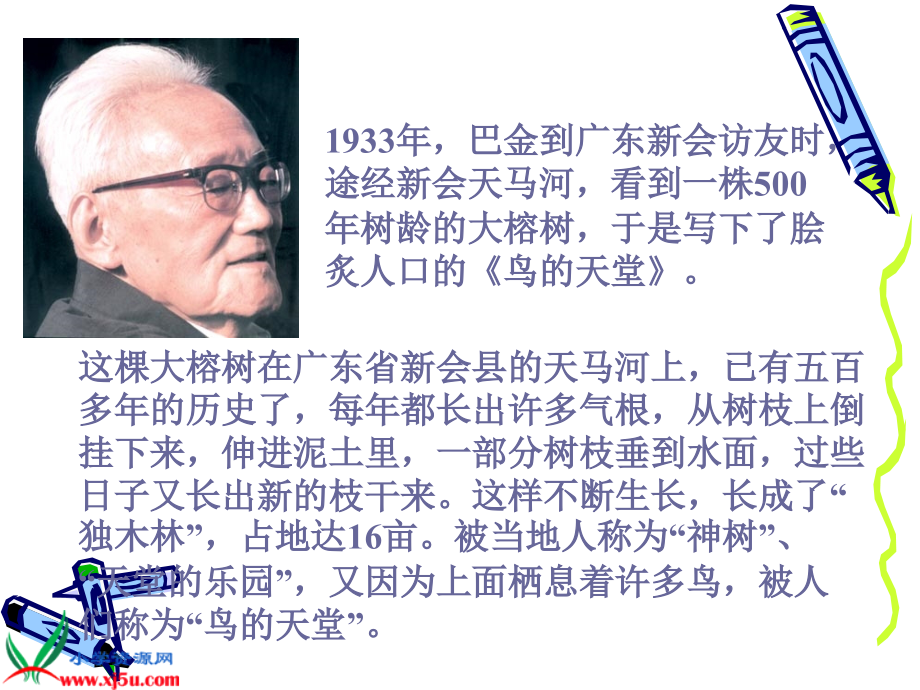 新课标人教版四年级语文上册《鸟的天堂》PPT课件.ppt_第2页