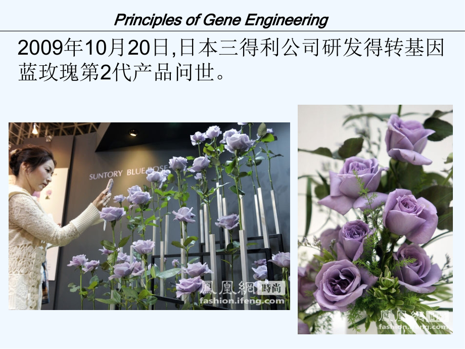 基因工程原理.pptx_第2页