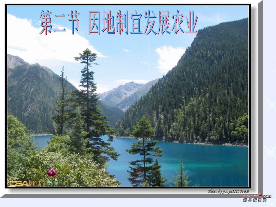 因地制宜发展农业八年级地理上册课件示例 课件.ppt_第1页