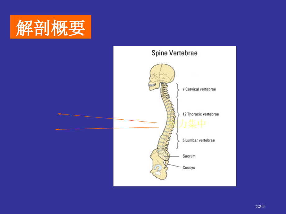 腰椎间盘突出症专题知识讲座.pptx_第2页