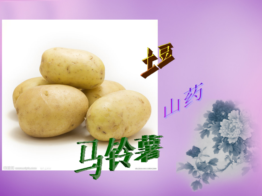 八年级生物上册 第6单元 第1章 第2节 从种到界课件 (新版)新人教版 课件.ppt_第2页