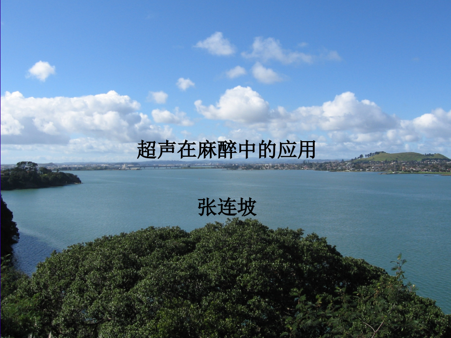超声在麻醉中的应用.ppt_第1页