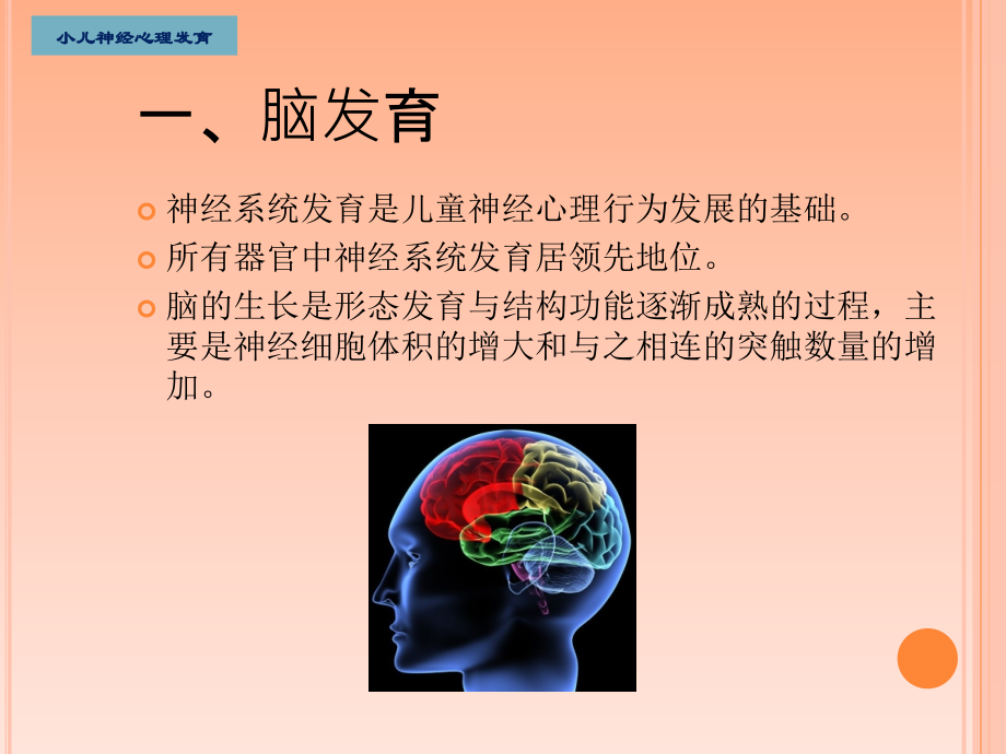 婴幼儿神经系统发育与检查方法课件.ppt_第2页
