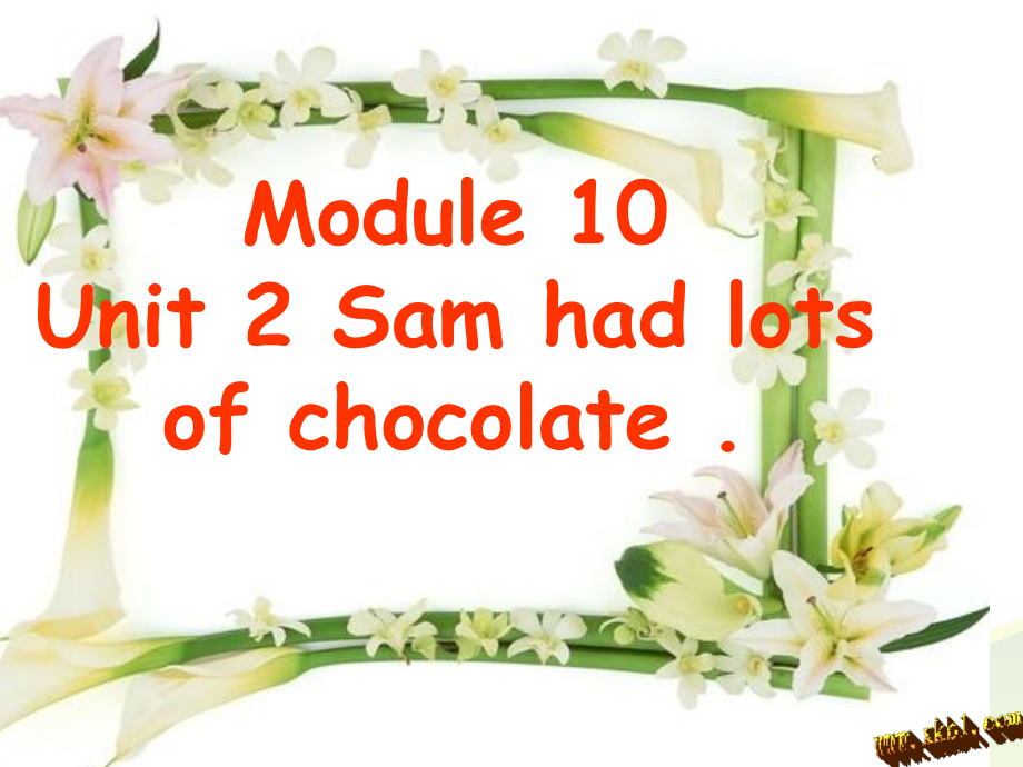 Unit2Samhadlotsofchocolate..ppt_第1页