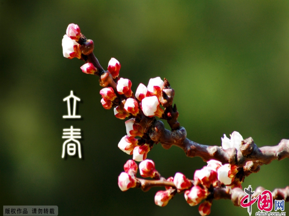 节气与养生.ppt_第1页