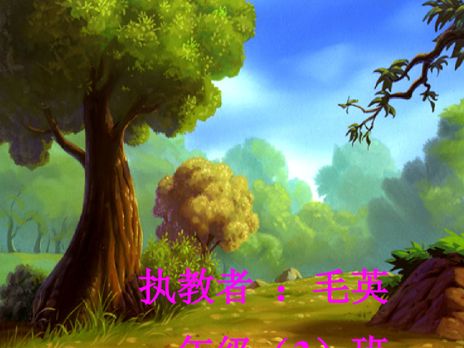 《两只小狮子》课件.ppt_第1页
