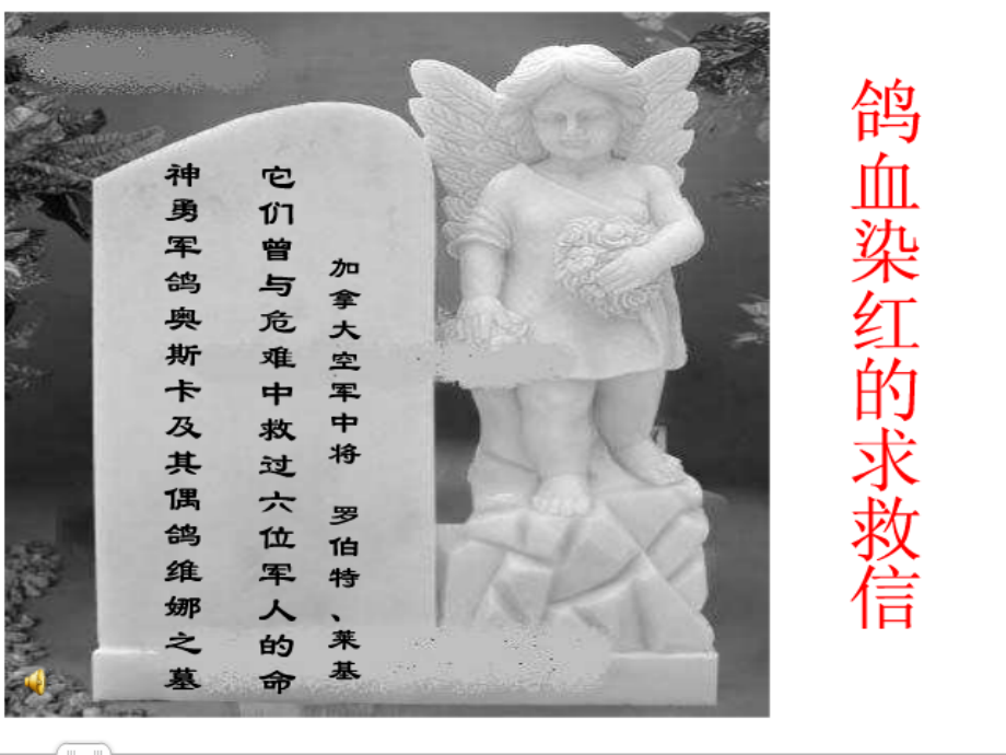 鸽血染红的求救信.ppt_第1页