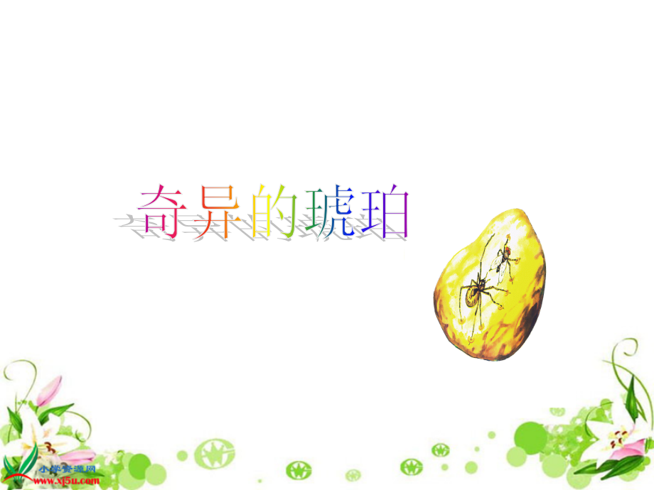 《奇异的琥珀》PPT.ppt_第1页