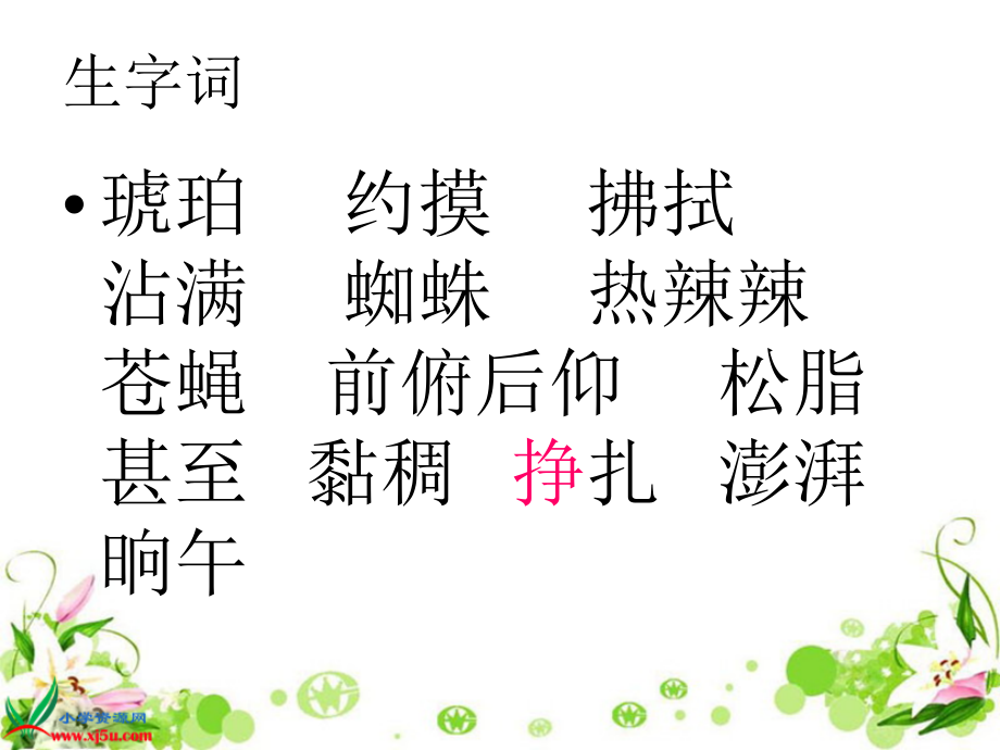 《奇异的琥珀》PPT.ppt_第2页