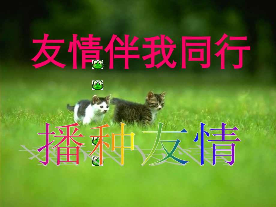 播种友情.ppt_第1页