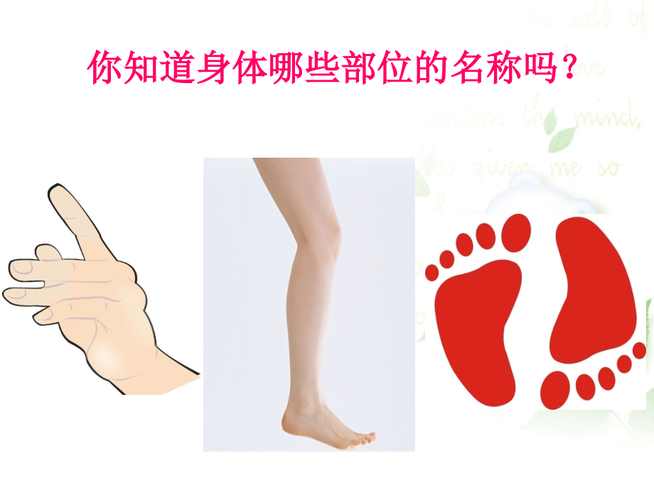 《了解我的身体》课件1.ppt_第2页