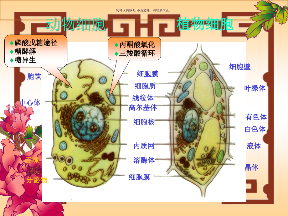 糖的代谢主题医学知识.ppt_第1页