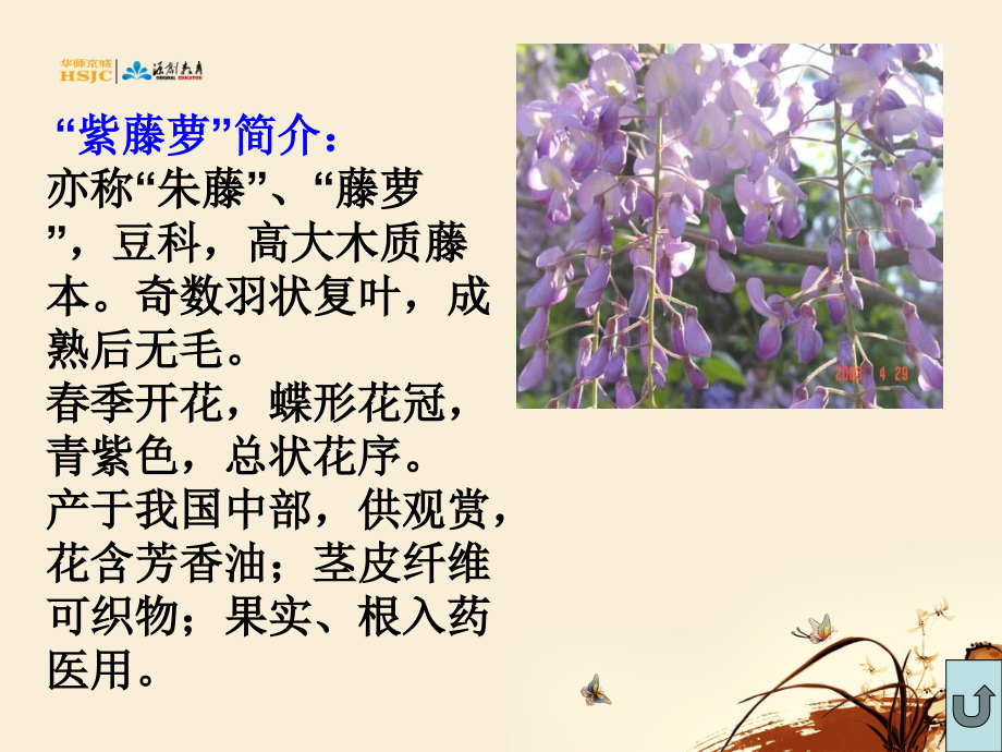 《紫藤萝瀑布》公开课.ppt_第2页
