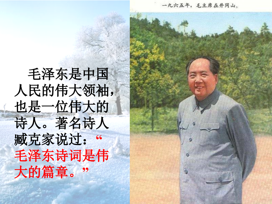 沁园春雪(教案).ppt_第1页