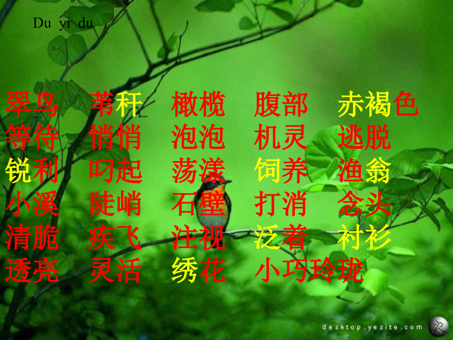小学三年级语文《翠鸟》课件.ppt_第2页