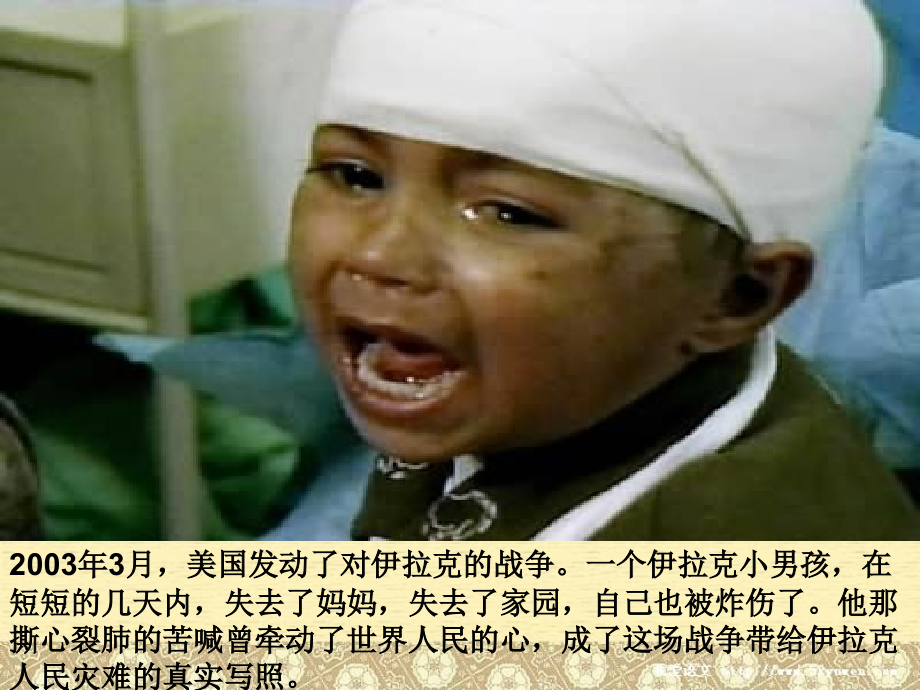 资源：战争风云下的苦难.ppt_第2页