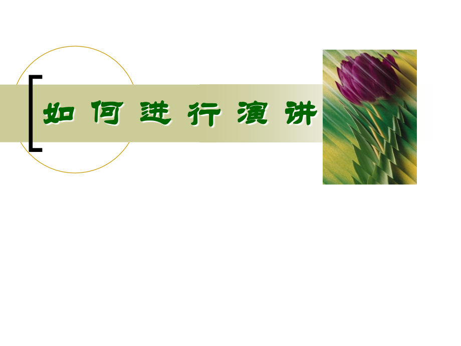 如何进行演讲.ppt_第1页
