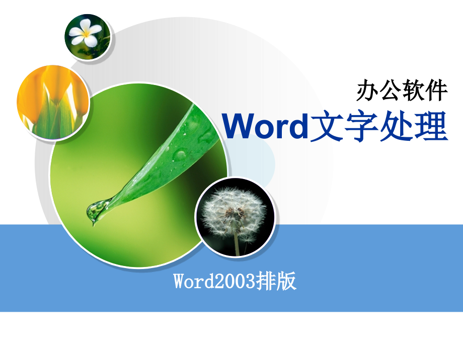 word(2)-排版.ppt_第1页