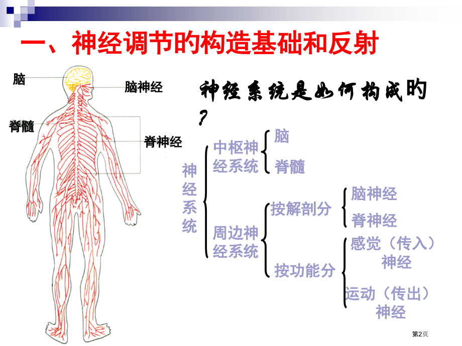 神经调节与体液调节专题.pptx_第2页