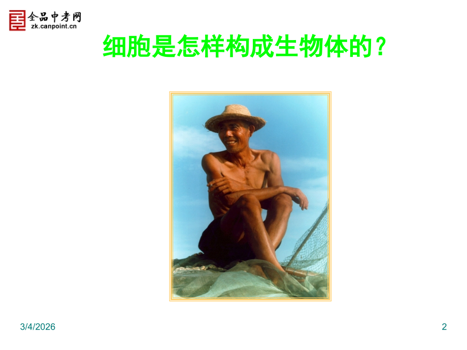 生物七年级上人教新课标2[1].3.1动物体结构的层次课件.ppt_第2页