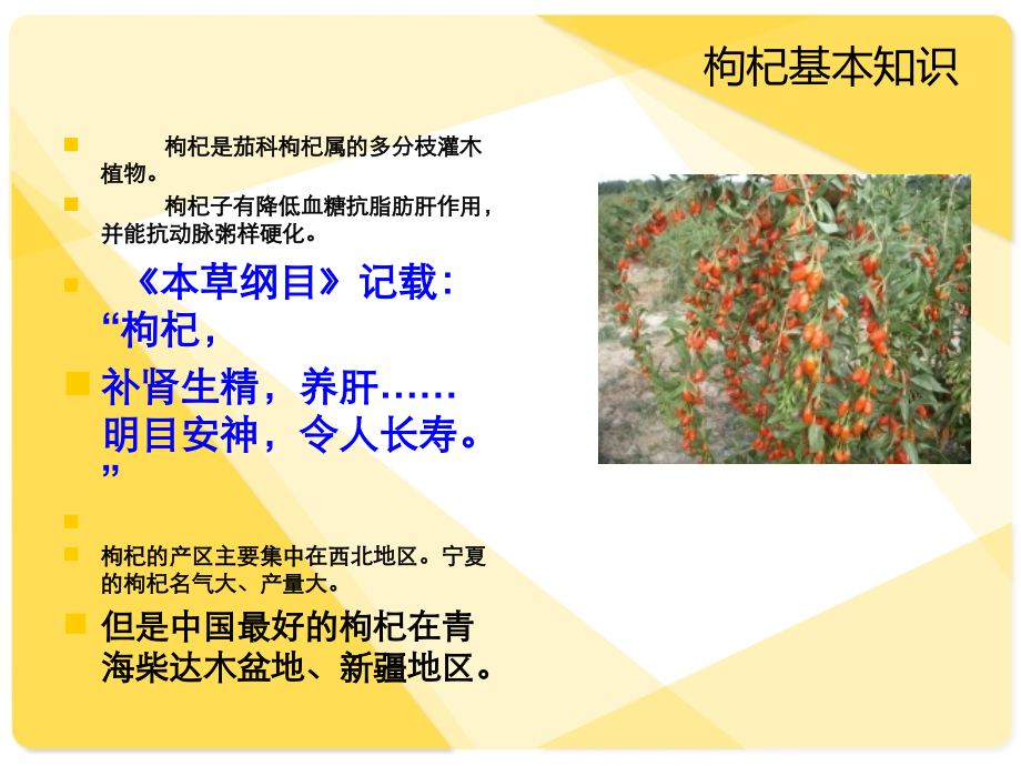 枸杞常识讲座.ppt_第2页