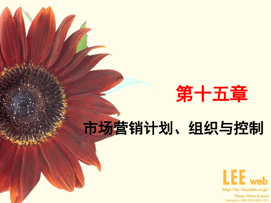 第十五章 市场营销计划 组织与控制.ppt_第1页