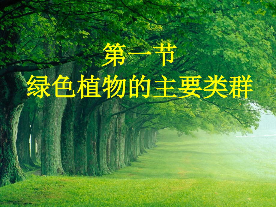 第一节绿色植物的类群.ppt_第1页