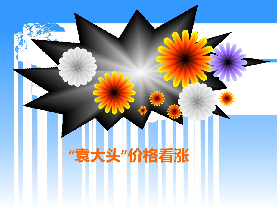 袁大头价格看涨.ppt_第1页