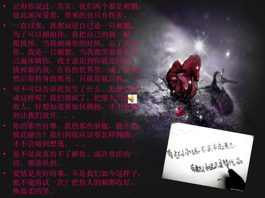 只是为了纪念.ppt_第2页