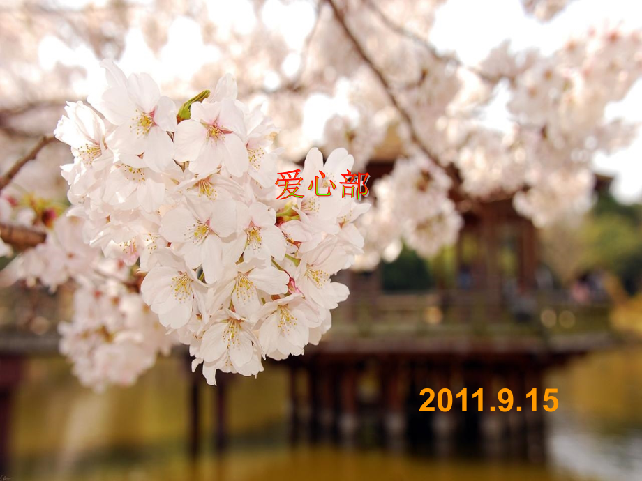早会 蛋糕制作.ppt_第1页