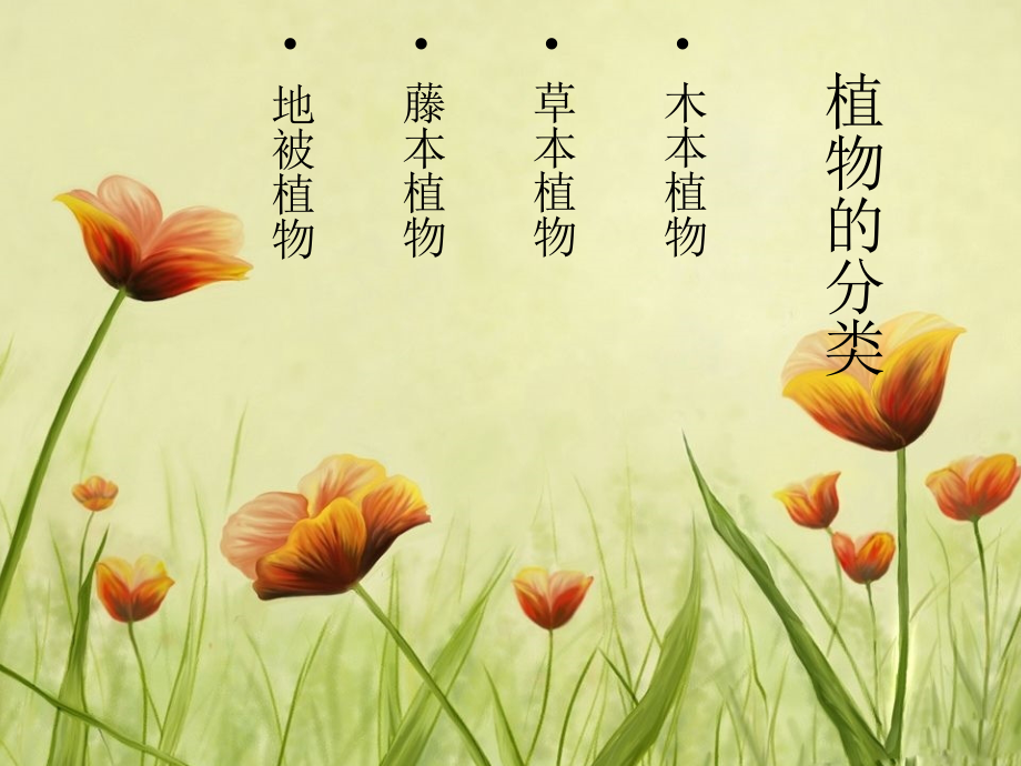 植物分类1.ppt_第1页