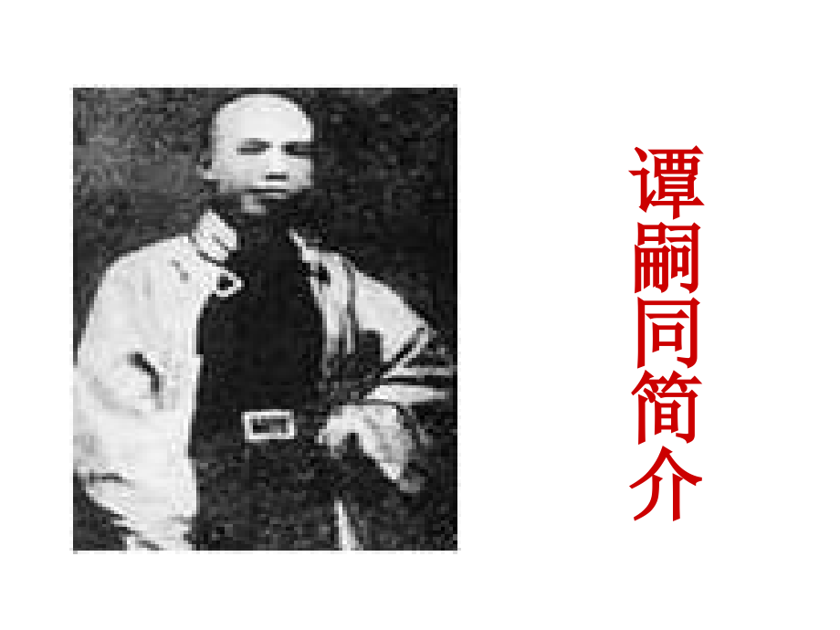 谭嗣同之死教学课件.ppt_第2页