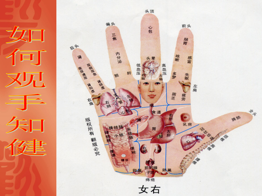 手诊观健康.ppt_第1页
