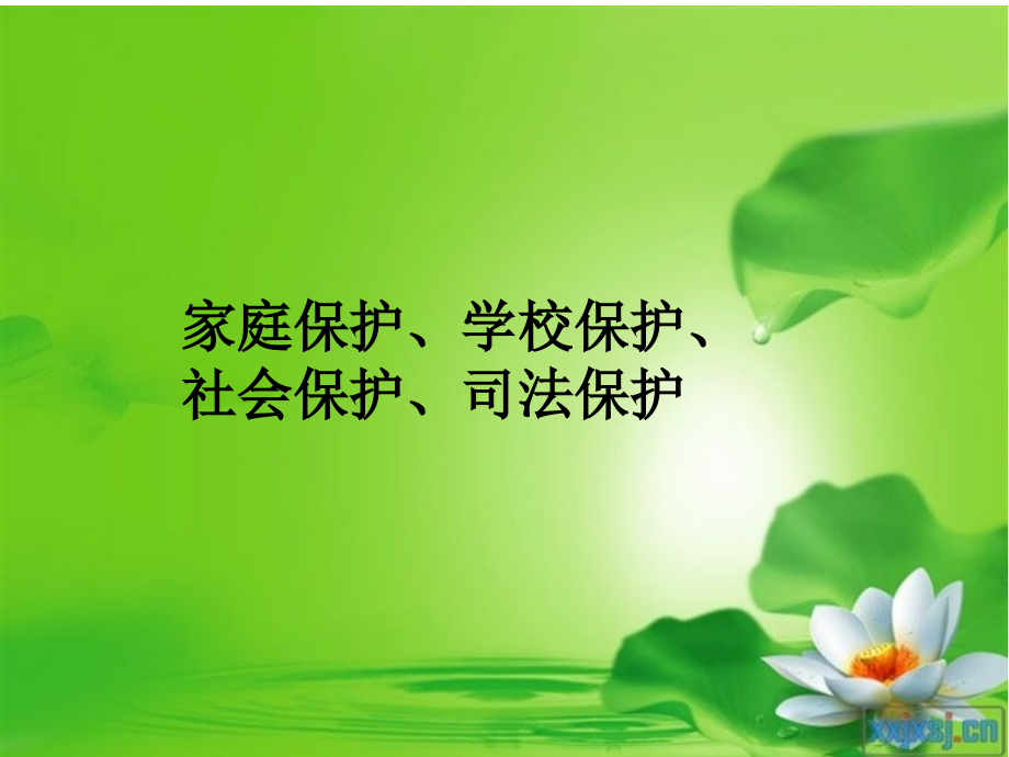 青少年特殊保护的区别.ppt_第1页