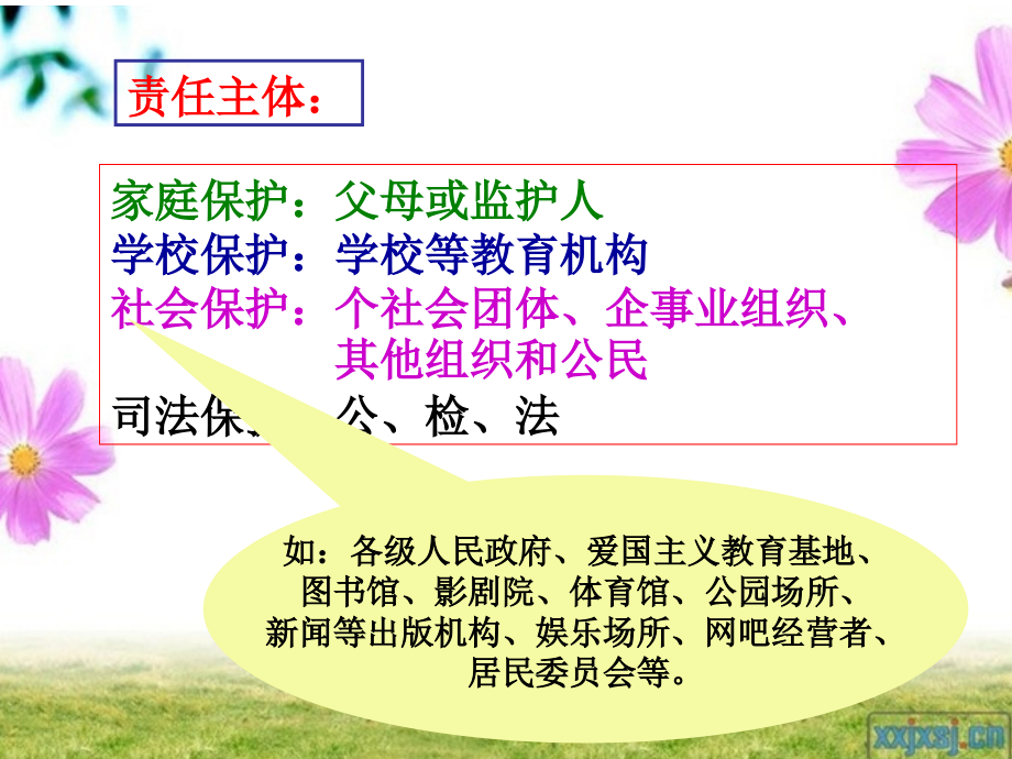 青少年特殊保护的区别.ppt_第2页