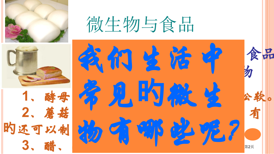微生物和人类的关系专家讲座.pptx_第2页