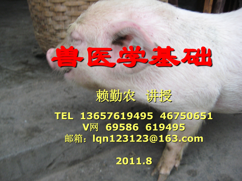 兽医学基础.ppt_第1页