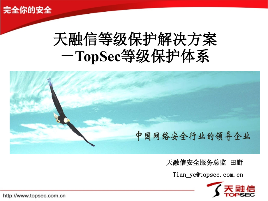 天融信等级保护解决方案.ppt_第1页