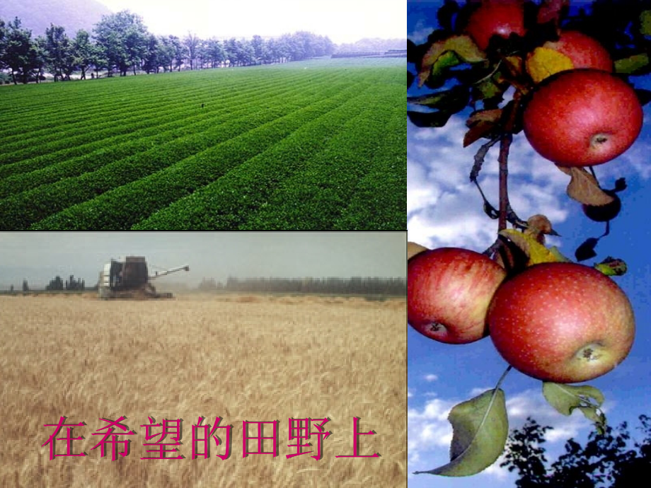 课题2-化学肥料-(4).ppt_第1页