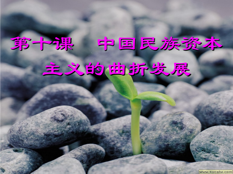 第10课-中国民族资本主义的曲折发展(新).ppt_第1页