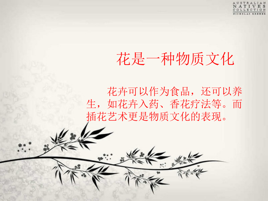 中国花卉文化.ppt_第2页