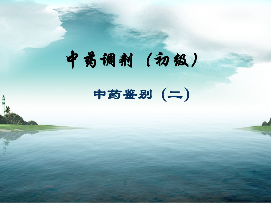 中药鉴别——2.ppt_第1页